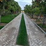 Quinta - Uva *
