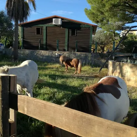 Quinta - Uva * Almancil