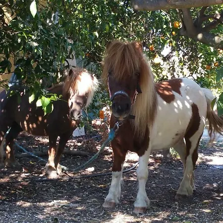 Casa de Férias Quinta - Uva *