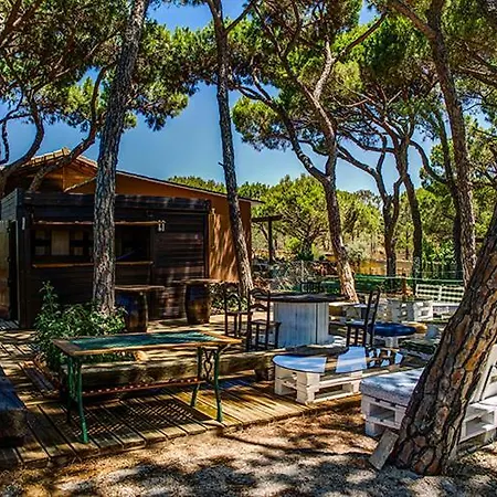 Quinta - Uva Almancil