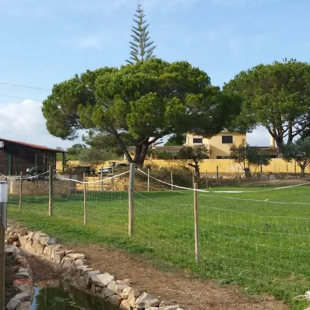 Quinta - Uva Casa de Férias *