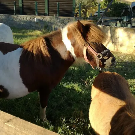 Quinta - Uva Casa vacanze *