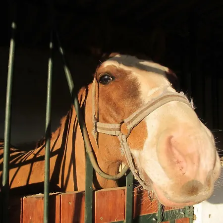 Quinta - Uva Casa vacanze Almancil