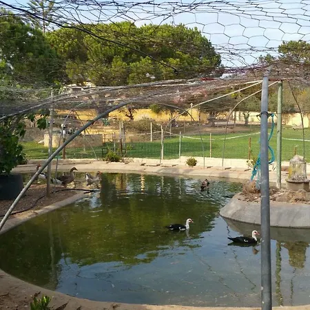 Quinta - Uva Casa vacanze