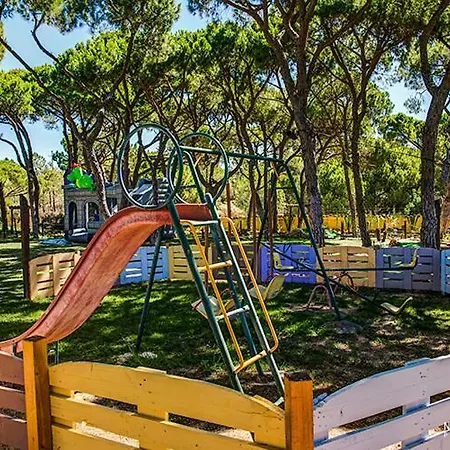 Quinta - Uva Almancil