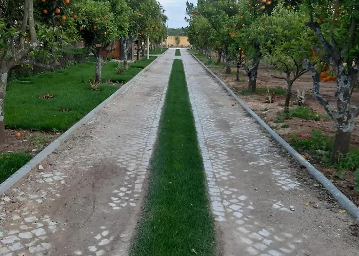 Quinta - Uva *