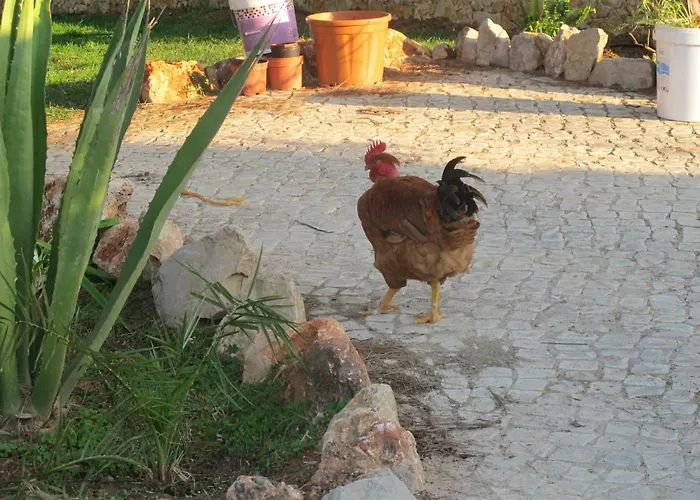 別荘 Quinta - Uva アルマンシル