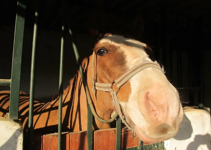 Quinta - Uva 別荘 アルマンシル