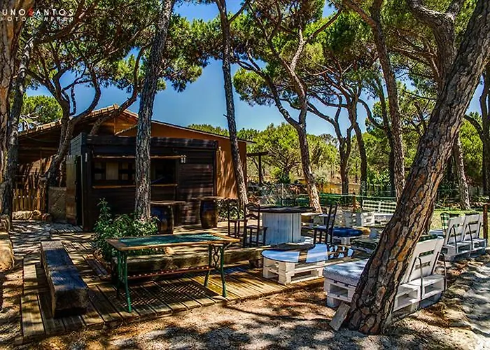 Quinta - Uva アルマンシル