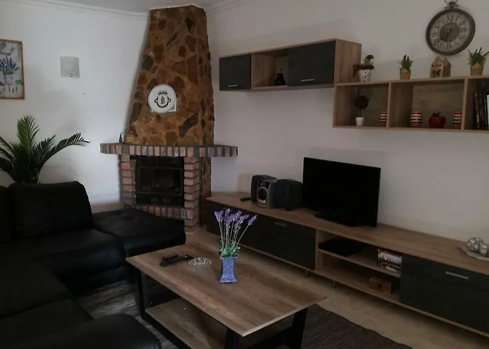 Quinta - Uva * アルマンシル